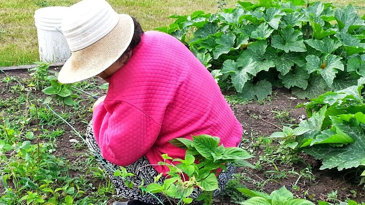 Agricultora