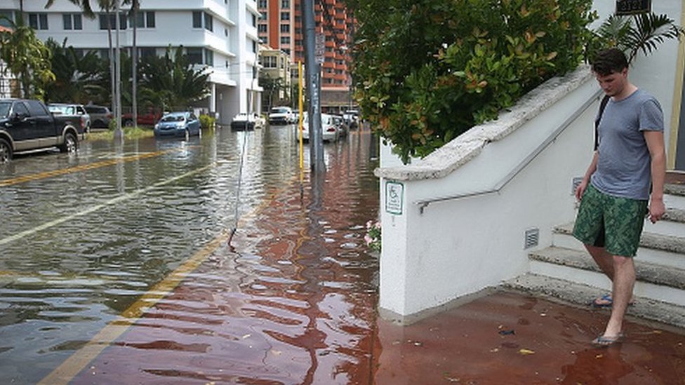Una calle de Miami parcialmente inundada durante marea alta, con clima soleado.